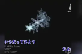 Speed-White Love 白色的爱情视频封面