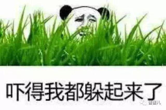 50款肌底液and精华液测评：4000还不如38块的好用