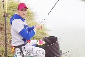 钓友冬钓湖库有绝招，新鲜虾肉拌饵料效果出奇的好翘嘴鲫鱼接连上视频封面