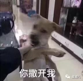 50款肌底液and精华液测评：4000还不如38块的好用