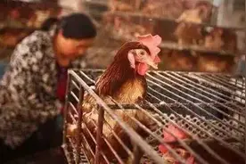 事关健康！政府明令禁止，可99%的南京人都爱这么干……图片