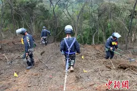 广西边境排雷现场：埋50厘米深小铁丝搜排手都能发现图片