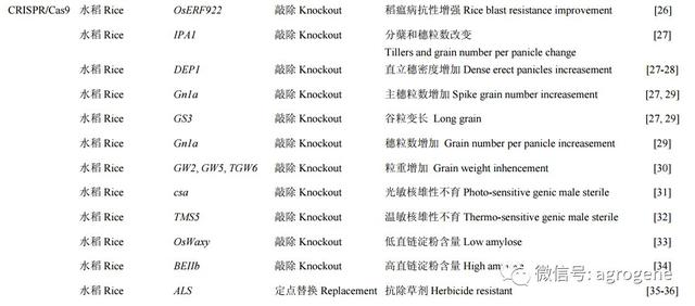 基因组编辑技术应用于作物遗传改良的进展与挑战