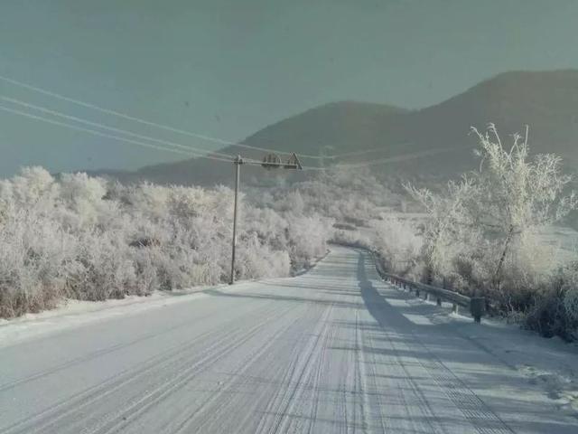 本溪的亲们，明天晚上一定注意！你一定要做这件事！