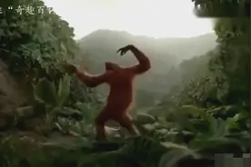 动物界的妖孽啊！这只猩猩成精了，竟然大跳杰克逊的舞蹈，厉害了