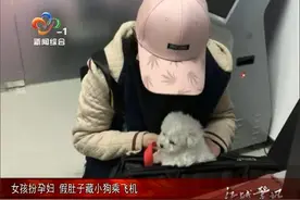 女大学生扮孕妇 假肚皮里藏小狗乘飞机视频封面