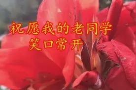 浓浓《同学情》，这首歌送给我的老同学，2018年祝愿你们事事顺心