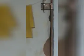 家门钥匙忘带了怎么办？大神教你忘记带家里钥匙怎么开门视频封面