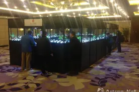 北京尚品润博第六届玉雕精品拍卖会预展璀璨开场图片