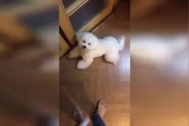 EXO吴世勋20日ins直播片段~vivi好乖啊好可爱还有世勋的小脚丫~