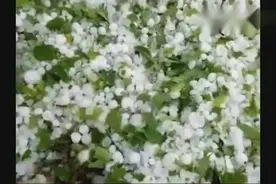 实拍山西万荣县遭遇特大冰雹袭击