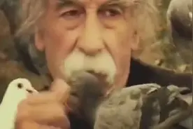 保罗莫里哀乐队《爱你多一点》人生短暂，珍惜美好的生活和爱人吧