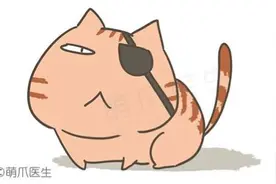 早发现早治疗，猫咪眼睛生病怎么办？图片