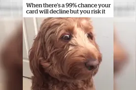 闻到主人放的屁后，狗狗不敢动，只有眼睛暴露了一切！