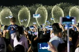 西湖音乐喷泉改造后首秀引5万人观看，因安全因素暂停喷放图片