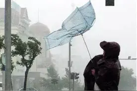 昨夜的狂风肆虐，吹得不仅是任性，更是浪漫图片