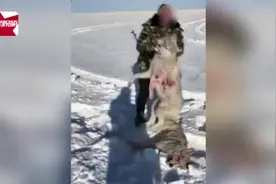 男子疑猎杀雪狼炫耀，呼伦贝尔警方已介入调查视频封面