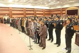 大快人心！湖北黑社会团伙头目9罪并罚共判处40年，打黑除恶绝不手软！图片
