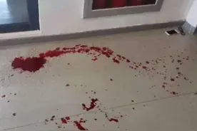 如皋女研究生被男友杀害陈尸图书馆 两人交往半年疑分手遭男生报复图片