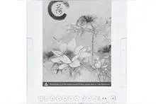 Amazon 亚马逊 Kindle Oasis 电子阅读器 入手晒单兼初步使用报告图片