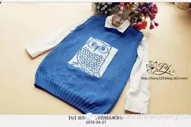 ty远方——儿子的猫头鹰背心图片