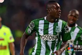 竞彩足球周二021 : 国民竞技 VS 飓风队图片