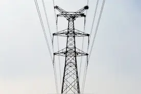 当“空中大熊猫”遭遇高压电塔 带来三大危害图片