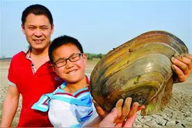 胶州水库见底 市民挖6.8斤河蚌堪称巨无霸图片