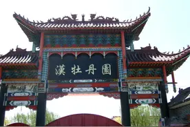 牡丹芍药竞争妍 邢台柏乡汉牡丹园图片