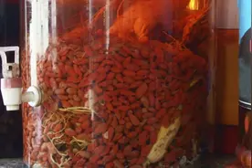 大枣枸杞的配方有哪些 3种大枣枸杞的吃法图片