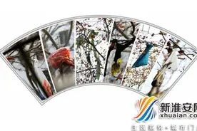 听说过“垃圾树”吗？西大街就有！图片