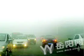 大雾天误闯红灯 被拍摄到算不算交通违法？-岳阳网:岳阳新闻图片