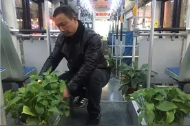 为改善车内空气质量 郑州细心车长打造"绿色车厢"图片