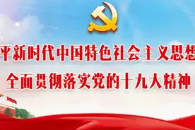 政务速览｜事关每个人！做好卫生城市复审、岭南大道今日复通图片