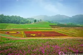 吐血整理广西各地“一日游”攻略，拿走不谢！图片