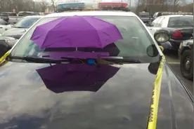 鸽子在警车上面筑巢孵蛋，当地的警员看到后居然这样做！图片