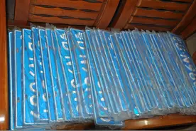 上海新能源车免牌照政策公布，首增征信环节图片