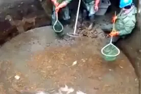 他们在清理下水道，没想到这一次还有意外收获.图片