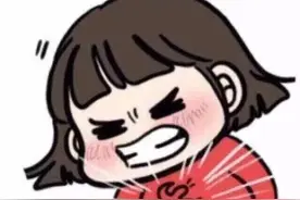 紧急情况！去欧洲游玩的时候，护照丢了怎么办？图片
