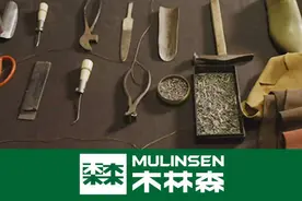 木林森：传承经典与突破创新并重图片