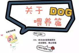 E宠知识堂|关于怎么喂狗粮 你真的知道吗?图片