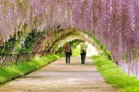 如何去体谅丈夫？图片