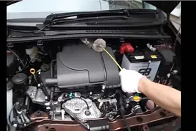 这只猫咪太笨勿入引擎盖，最后使出杀手锏才把它弄出来图片