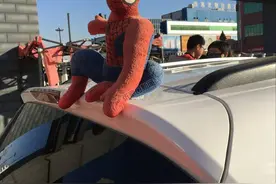 车顶装玩偶“拉风”不安全图片