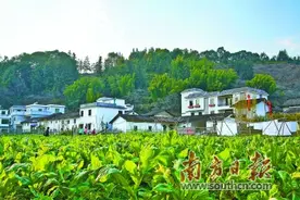 实现乡村振兴尚需破解体制机制障碍图片