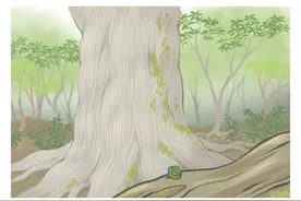 蛙蛙今天又去了哪儿？带了什么手信——给焦心母亲的最强攻略图片