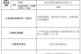 贷款审查不到位 湖北消费金融收40万罚单图片