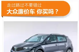 大众造廉价车早就有迹可循 你会买吗？图片