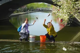 放生还是杀生？图片