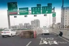 临沂最牛逼的小蹦蹦！这么牛你咋不上天呢！图片